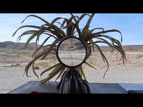 Mosin Nagant Camouflage