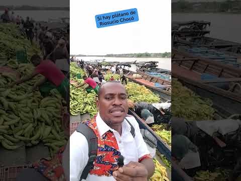 plátano Riosucio Chocó