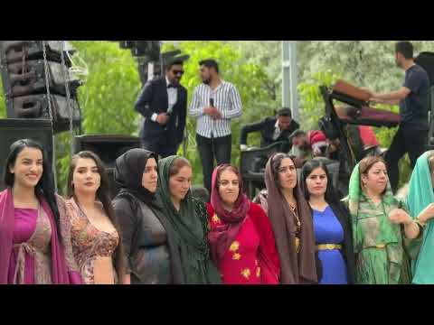 Nevzat Çiftçi - Şemdinli Düğünleri - Kurdısh Wedding - 2024