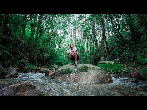 RLX x LOMAN - Agua Fria (Official Video)