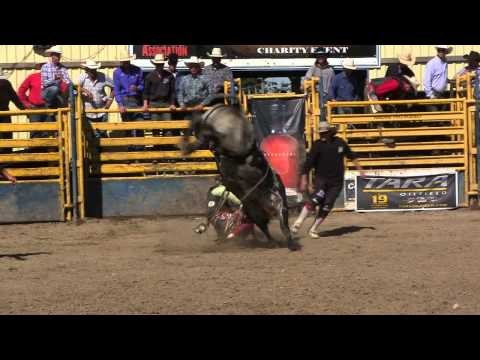 AOA Bucking Bull Derby 2015 - Joe Momma