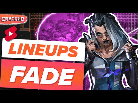Rank up with these FADE Lineups on BIND