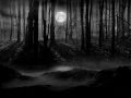 Autumn Tears - Comiseration in Mourning