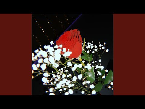 Still In Love With You