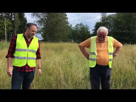 *Secret Outcrop* of Sövite (Carbonatite) Pegmatite at Alnö Igneous Complex
