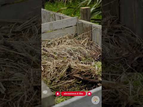 Kompostieren im Winter: So bleibt dein Kompost bei Frost aktiv