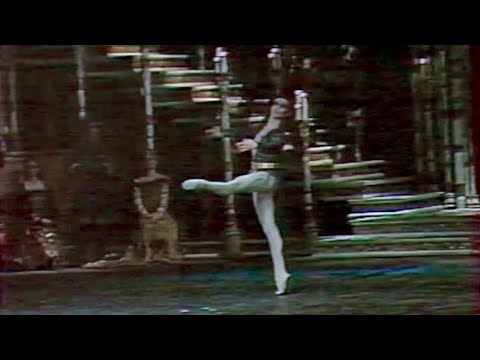 VLADIMIR MALAKHOV Variation from ballet “Swan lake”