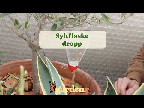 Jam bottle drip - Gardenhacks by GardenR