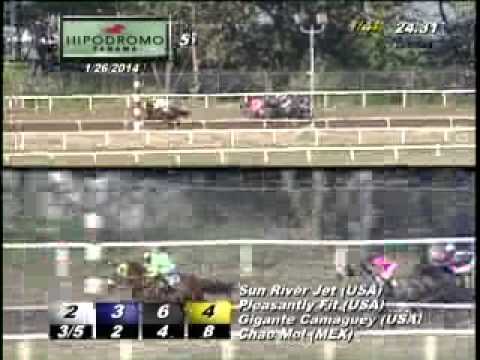 5TA CARRERA DOMINGO 26 DE ENERO 2014