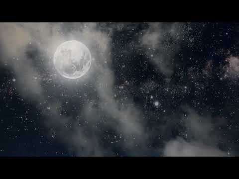 The Photocopies - If I Could Make It Happen