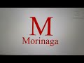 Japanese Remake Logos Part 1