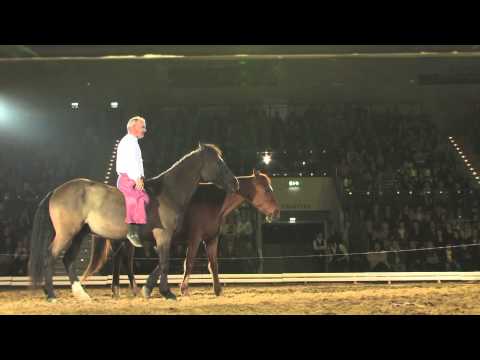 The Royal Horse Gala - 25. i 26. oktobra u Kombank Areni