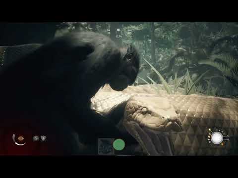 Ancestors - passando o rodo kkk