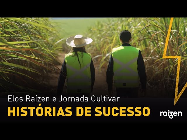 Rendimiento de los programas