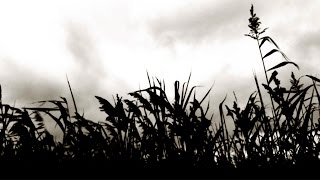 Trentemøller: November