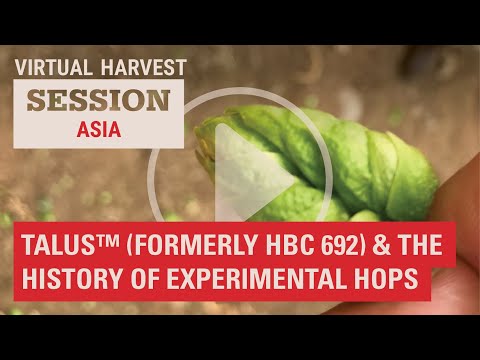 Talus™ & the history of experimental hops (Asia-specific)