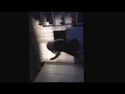 My sister annoying me when I'm playing cod (read desc)