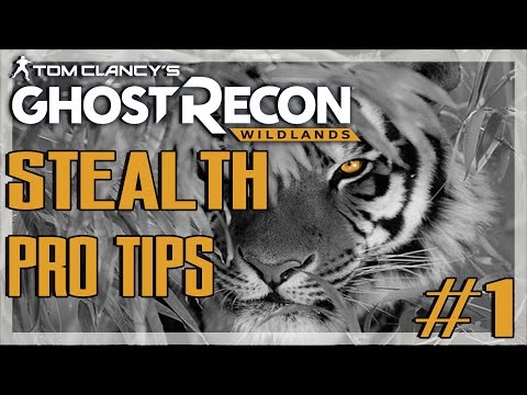 Best Load Out??!! - Stealth Pro Tips #1 - Ghost Recon Wildlands