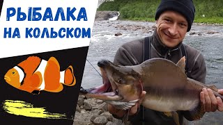 Ссылка