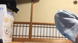 筋トレ腕立て限界までやって見た目標100回は行きたい！