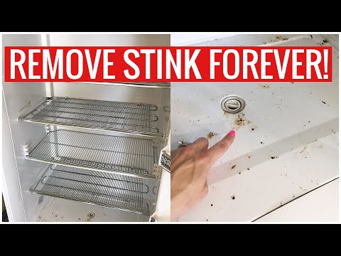 Stinky Fridge or Freezer? How to REMOVE the SMELL for GOOD!! (Cleaning Hacks) | Andrea Jean Cleaning