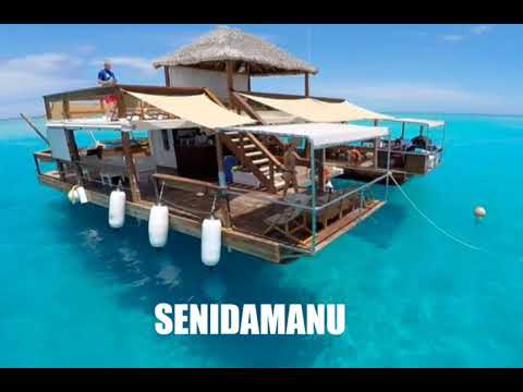 SENIDAMANU - SENIKAVIKA VOL 1