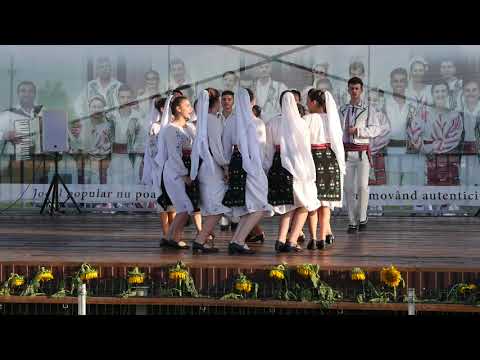 Bîrla Floare de cîmpie Cununița din Craiova