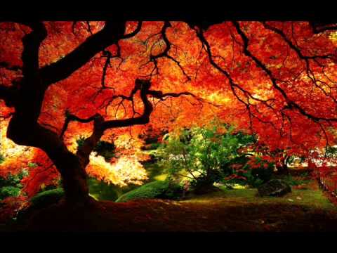 Deutsch Gabor   Love Garden