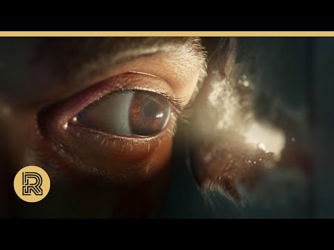 CGI 3D Animated Short: "Bourdonnement" by ESMA  | The Rookies