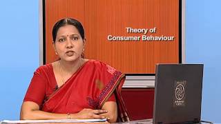 Theory of Consumer Behavioue; Consumer's Budget