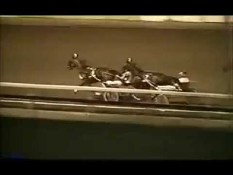 1988 Meadowlands ANNIECROMBIE Breeders Crown Aged Mare Pace