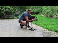 Huskies Trying Dog Shoes for the First Time! (Funny Dogs) thumbnail 2