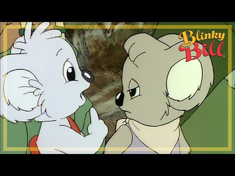 Blinky Bill's Fund Run - Episode 4 - The Adventures of Blinky Bill