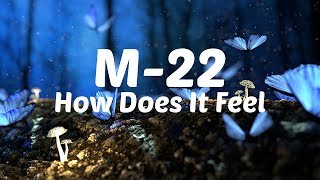 M-22 - How Does It Feel [Lyric Video]