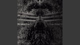 Music video thumbnail preview for Breath by Membrane