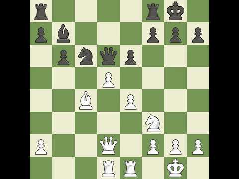 Cebalo Miso (CRO) VS Lanzani Mario (ITA)