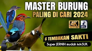 Download lagu 🔴6 TEMB4K4N SAKTI MASTER BURUNG FIGHTER 2024 SUPER JERNIH‼️ mp3