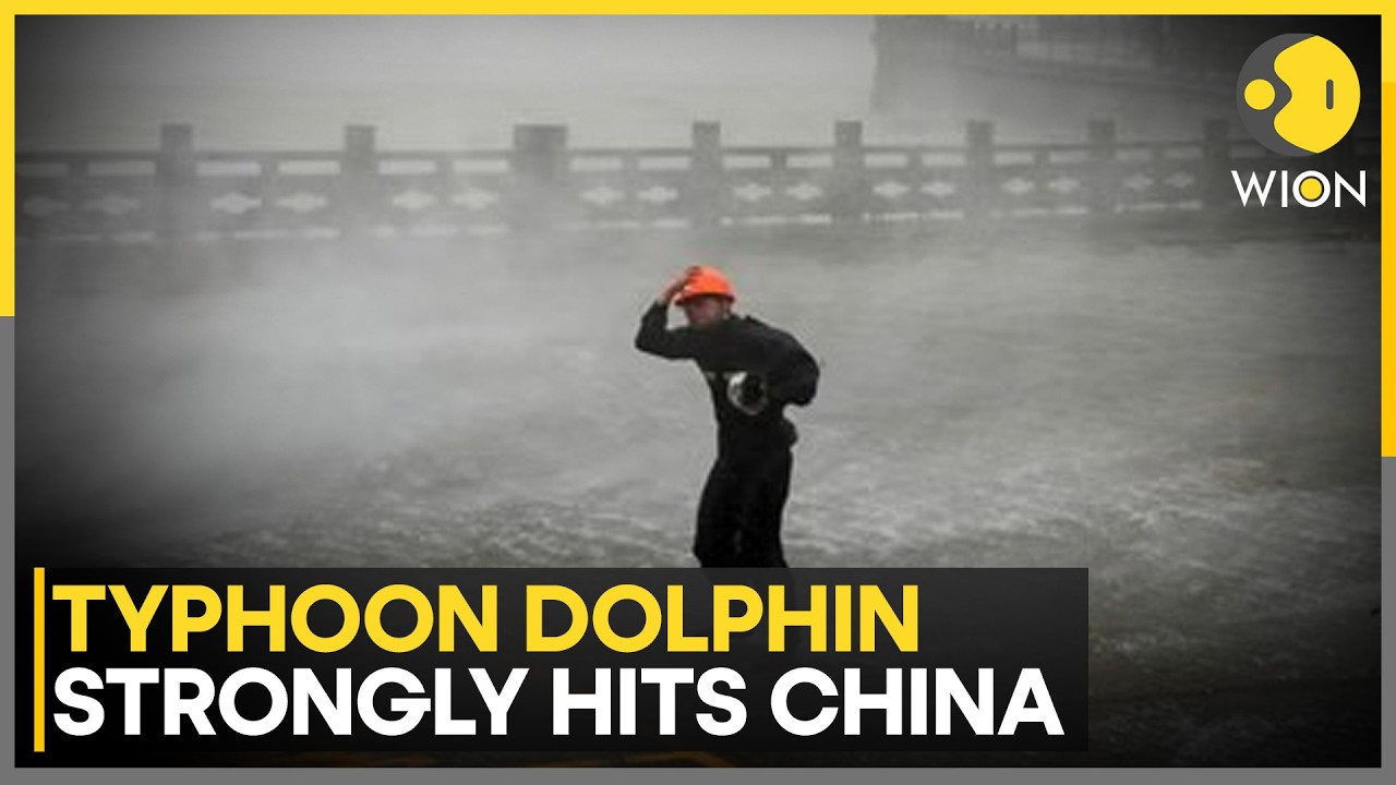 Typhoon Dolphin Hits China: Shanghai Waterlogged, Rail Services Suspended | WION News