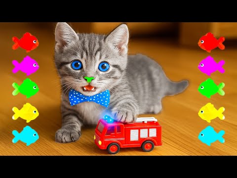 Playful Little Kitten Adventure Animated Journey - Story of Fun Little Kitten, Puzzles and Colors