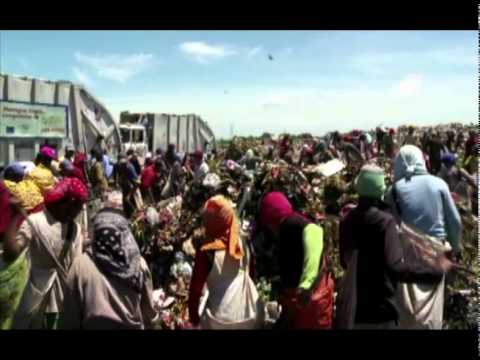 A Brief Encounter: My Memory of Anthony Bourdain