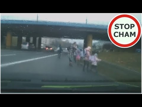 Szkolna wycieczka biega po dwupasmówce 