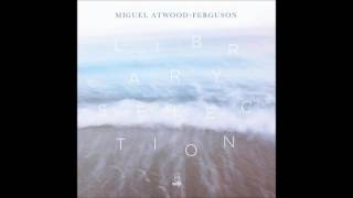 Miguel Atwood Ferguson - Hoc n' Pucky
