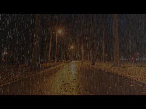 Schlafen Sie sofort mit Regen & Gewittergeräusche die den Park nachts bedecken #12 - Naturgeräusche