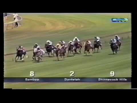 1998/1999 Season (4/6) NZ Railway Hcp - Chipping Norton Stks