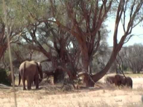 AIEA: 1° Corso per guide safari professionali (Namibia)