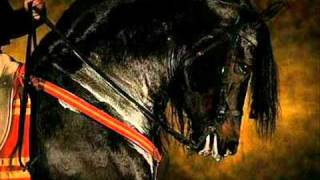 Me Gusta Estar Contigo - Sergio Vega.avi