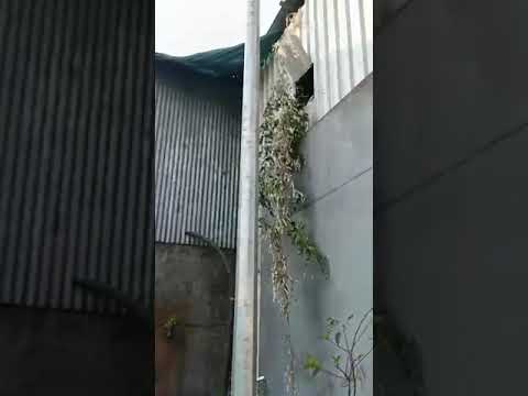 Solar Led Street Light