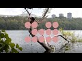 ALWAYS AMBER | TRAILER | NORDISK PANORAMA 2020