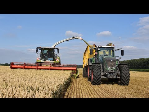Claas Jaguar 980 & V750 maaibord - Loonw. De Bruyne - GPS hakselen
