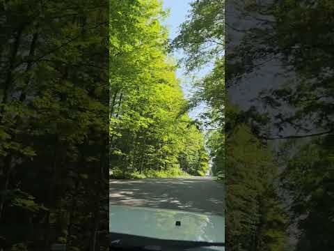 The beautiful greenary of CountrySideDrive #green #nature #trees #beauty #countryside #summer